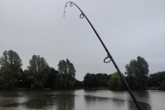 360136155_10160690029544463_4130389576452327536_n