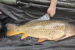 360152705_10160690028854463_4976638019520537945_n