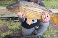 373604372_10160775164654463_2897384927760349954_n