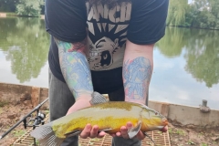 373659055_10160775080319463_7250474268936634502_n