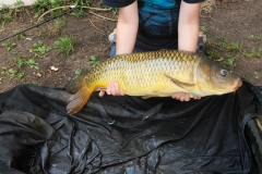 373686452_10160775290649463_3119133892970361772_n