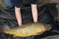 373702136_10160775290554463_8099459511743215717_n