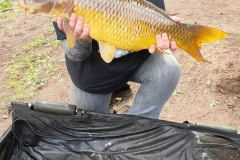 374320722_10160775290499463_6536349833367208223_n