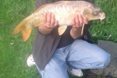 GHOST-MIRROR-CARP-9.5LB-STEBBING