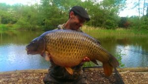 BANOFFE-26.5.2015-30LB-DEAD-ON