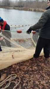 NETTS