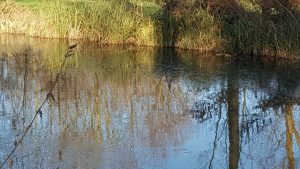 RIVER-10 (1)