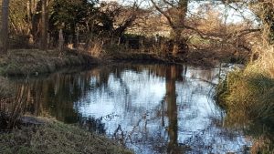 RIVER-6
