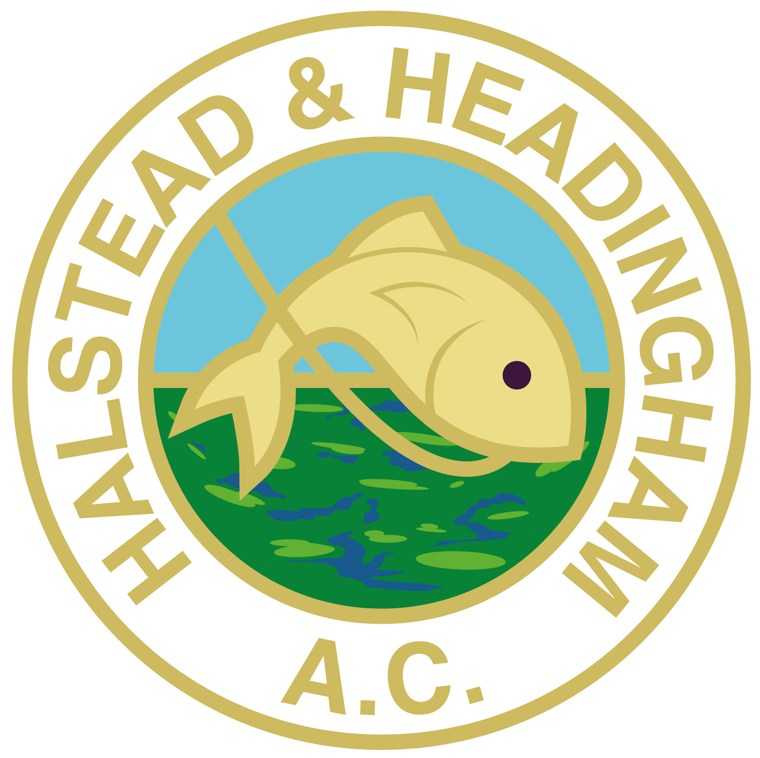 Halstead & Hedingham AC